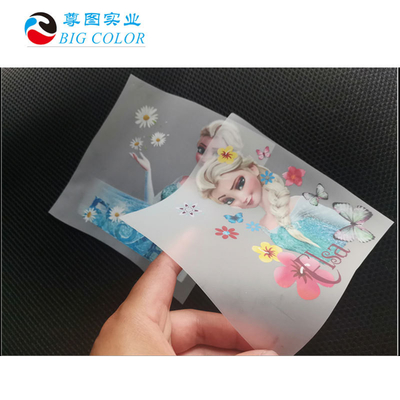 DTF 필름 60cm 30cm 롤 로 롤 피그먼트 프린터 열 전송 파우더 쉐이크 제작 필름